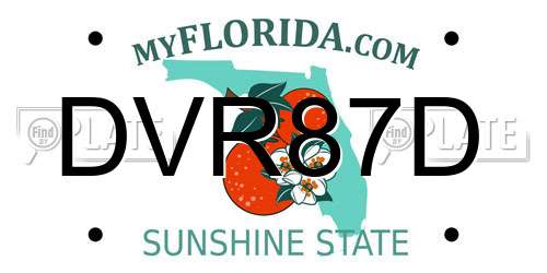 DVR87D Florida License Plate