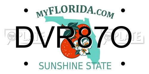 DVR87O Florida License Plate