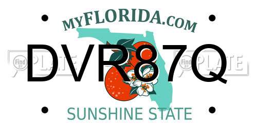 DVR87Q Florida License Plate