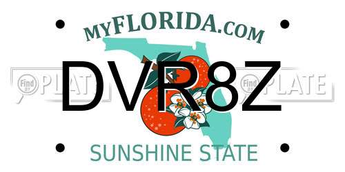 DVR8Z Florida License Plate