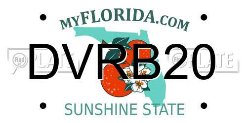 DVRB20 Florida License Plate