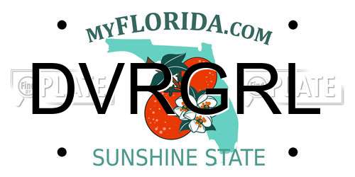 DVRGRL Florida License Plate