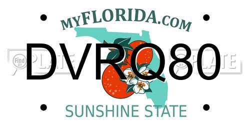 DVRQ80 Florida License Plate