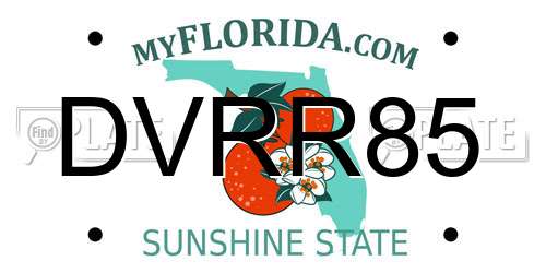 DVRR85 Florida License Plate