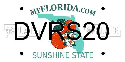 DVRS20 Florida License Plate
