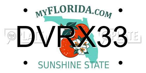 DVRX33 Florida License Plate