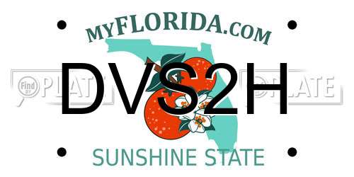 DVS2H Florida License Plate