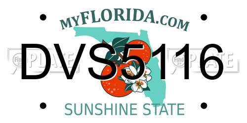 DVS5116 Florida License Plate