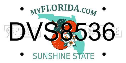 DVS8536 Florida License Plate