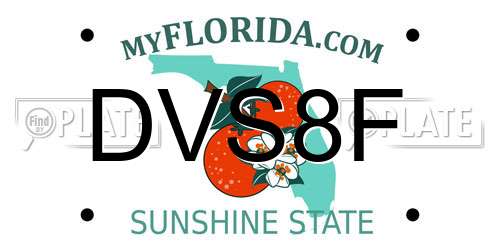 DVS8F Florida License Plate
