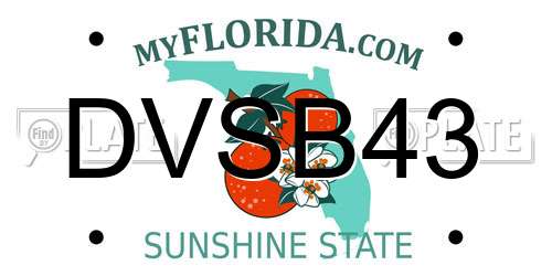 DVSB43 Florida License Plate