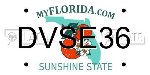 DVSE36 Florida License Plate