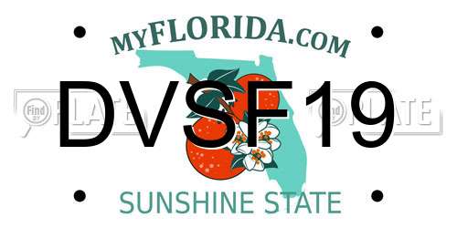 DVSF19 Florida License Plate