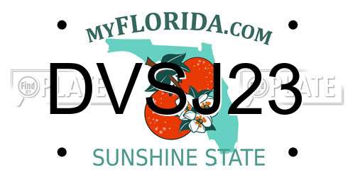 DVSJ23 Florida License Plate