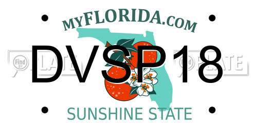 DVSP18 Florida License Plate