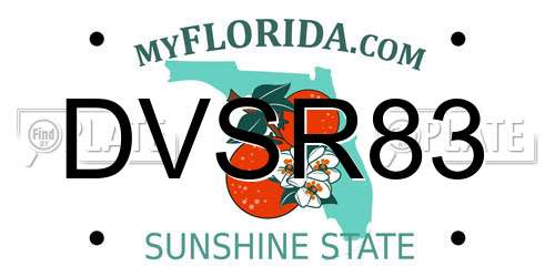 DVSR83 Florida License Plate