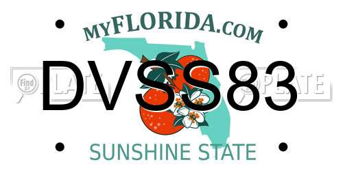 DVSS83 Florida License Plate