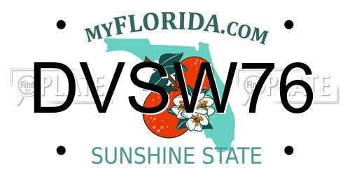 DVSW76 Florida License Plate