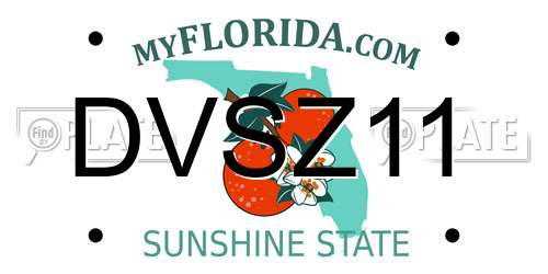 DVSZ11 Florida License Plate