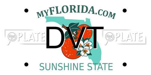 DVT Florida License Plate