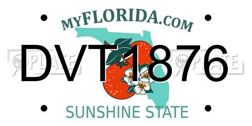 DVT1876 Florida License Plate
