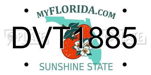 DVT1885 Florida License Plate