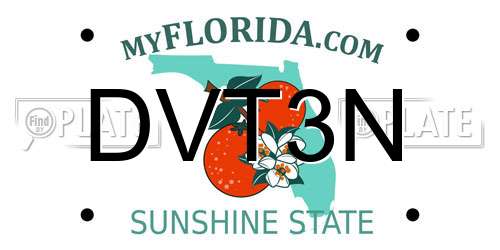 DVT3N Florida License Plate
