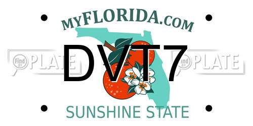 DVT7 Florida License Plate