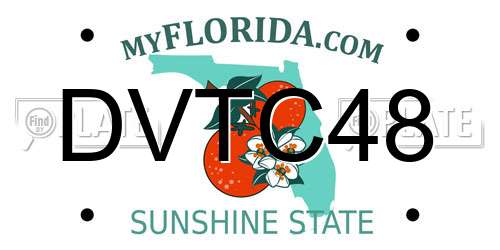 DVTC48 Florida License Plate