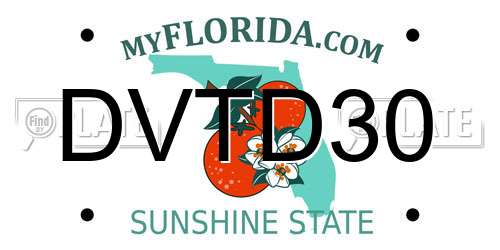 DVTD30 Florida License Plate