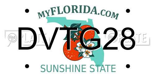 DVTG28 Florida License Plate