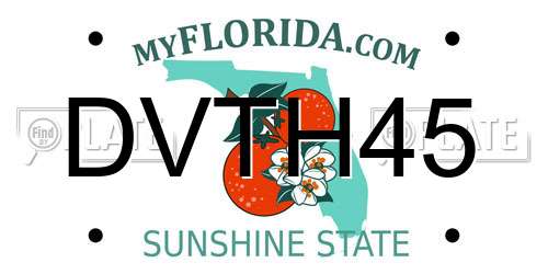 DVTH45 Florida License Plate
