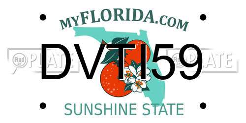 DVTI59 Florida License Plate
