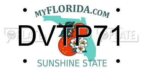 DVTP71 Florida License Plate