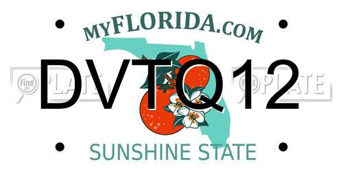 DVTQ12 Florida License Plate