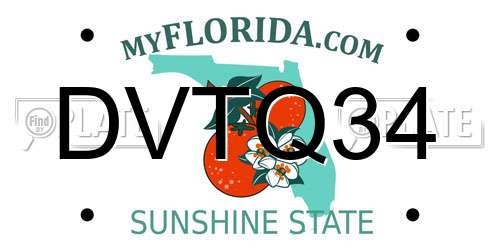 DVTQ34 Florida License Plate