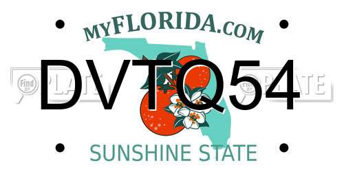 DVTQ54 Florida License Plate