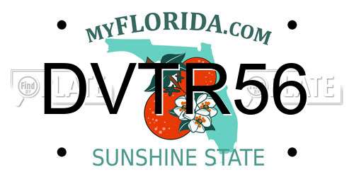 DVTR56 Florida License Plate