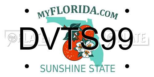 DVTS99 Florida License Plate