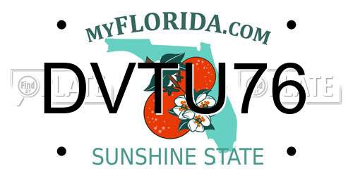DVTU76 Florida License Plate