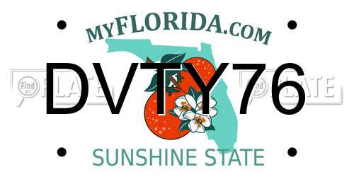 DVTY76 Florida License Plate