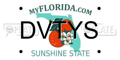DVTYS Florida License Plate