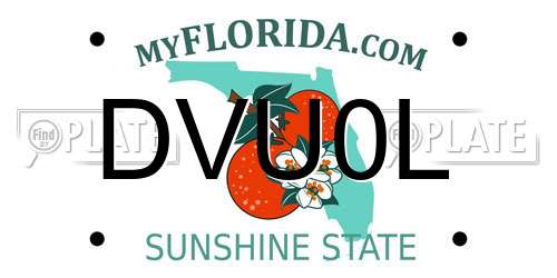 DVU0L Florida License Plate