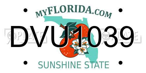 DVU1039 Florida License Plate