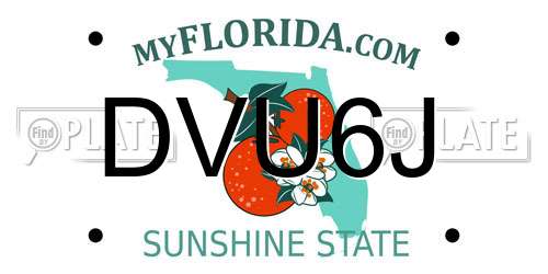 DVU6J Florida License Plate