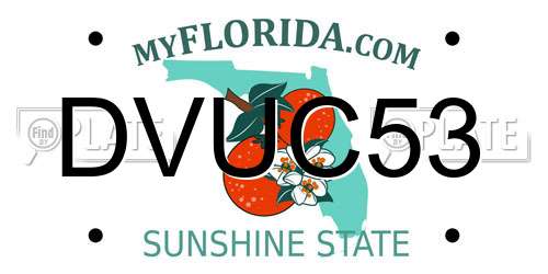 DVUC53 Florida License Plate