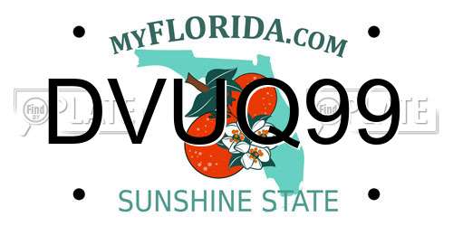 DVUQ99 Florida License Plate
