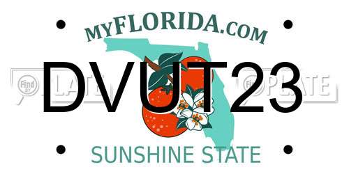 DVUT23 Florida License Plate