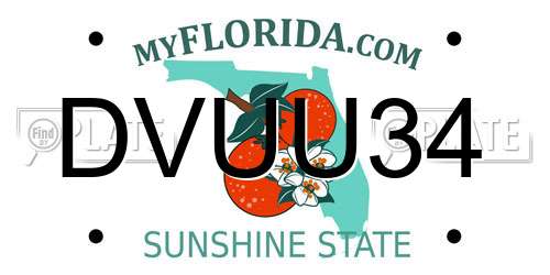 DVUU34 Florida License Plate