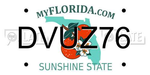 DVUZ76 Florida License Plate